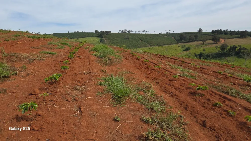 Fazenda, 73 hectares - Foto 9