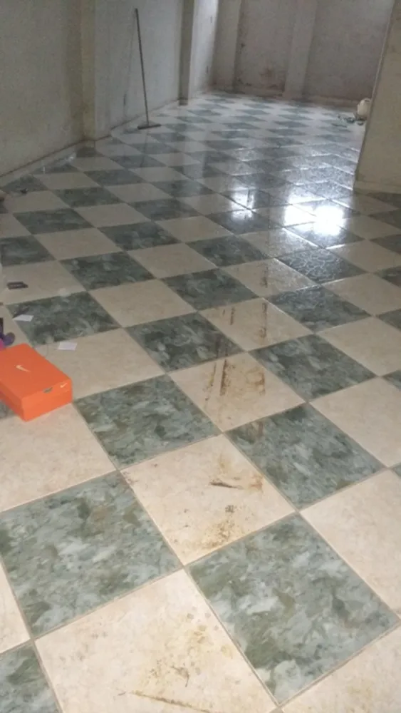 Depósito-Galpão, 250 m² - Foto 6