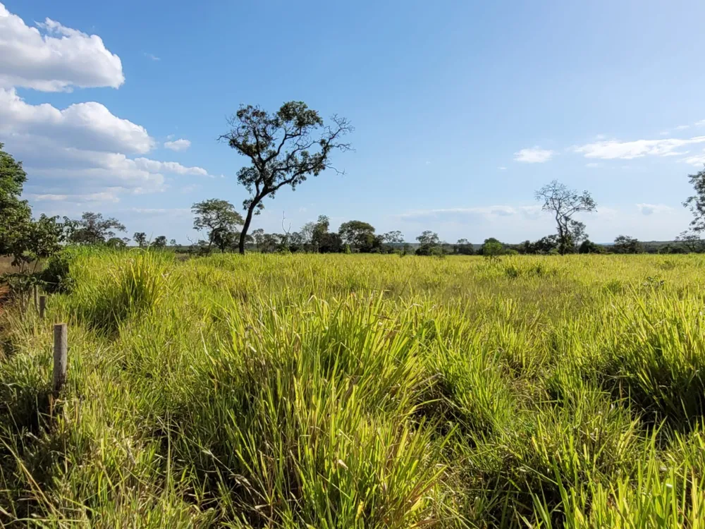 Fazenda, 496 hectares - Foto 1