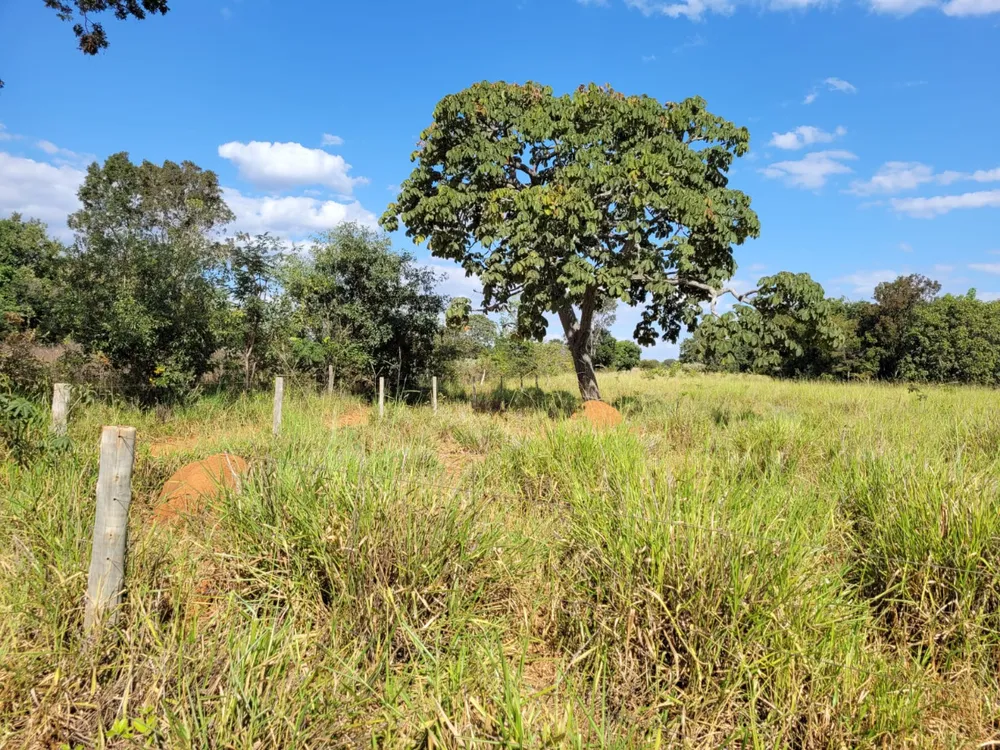 Fazenda, 496 hectares - Foto 2