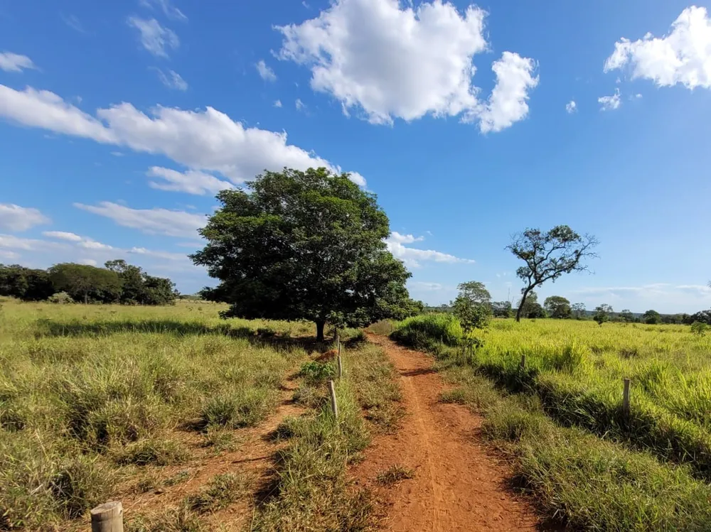 Fazenda, 496 hectares - Foto 8