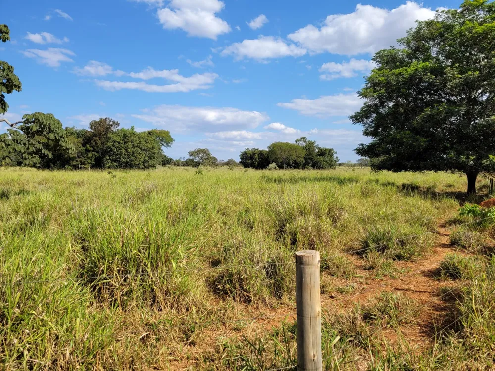 Fazenda, 496 hectares - Foto 3