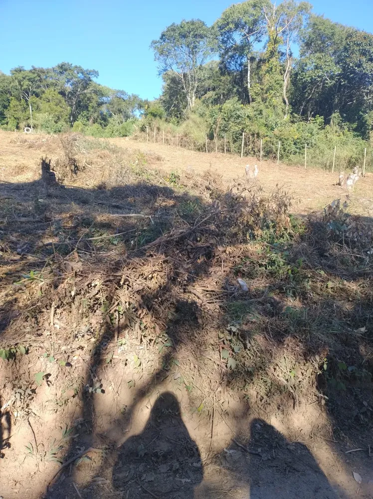 Terreno, 240 m² - Foto 3