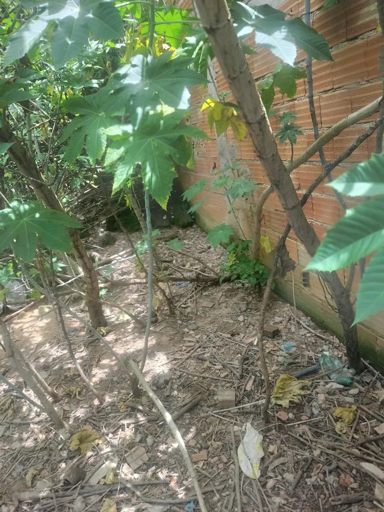 Terreno, 660 m² - Foto 6