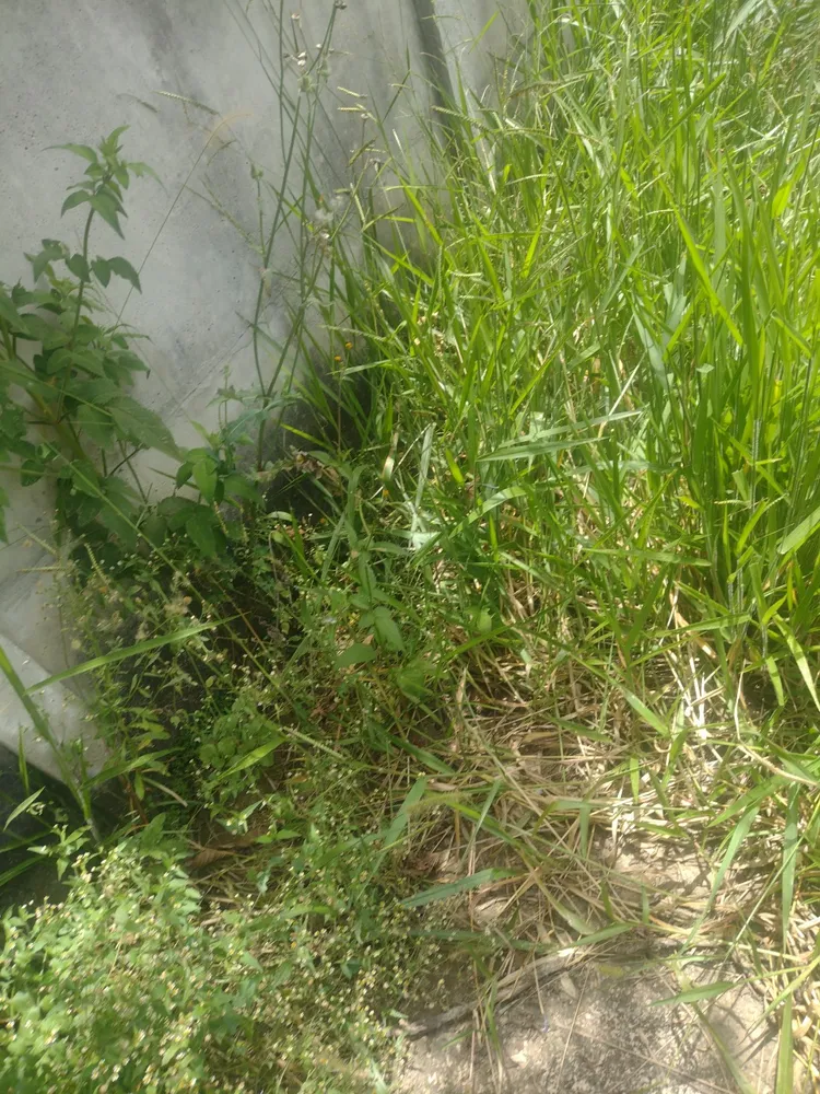 Terreno, 660 m² - Foto 14