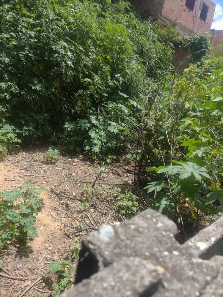 Terreno, 660 m² - Foto 13