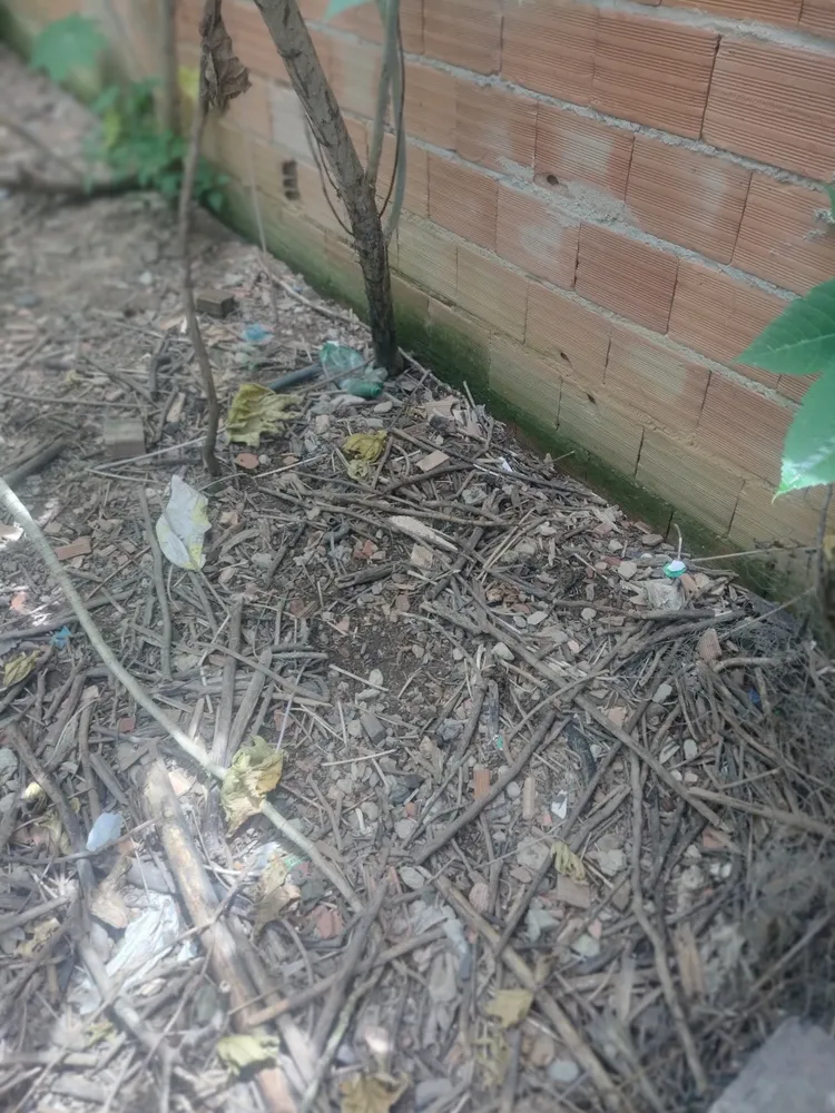 Terreno, 660 m² - Foto 7