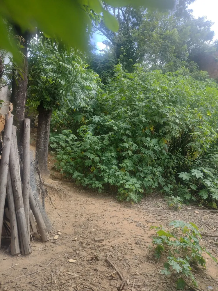 Terreno, 660 m² - Foto 11