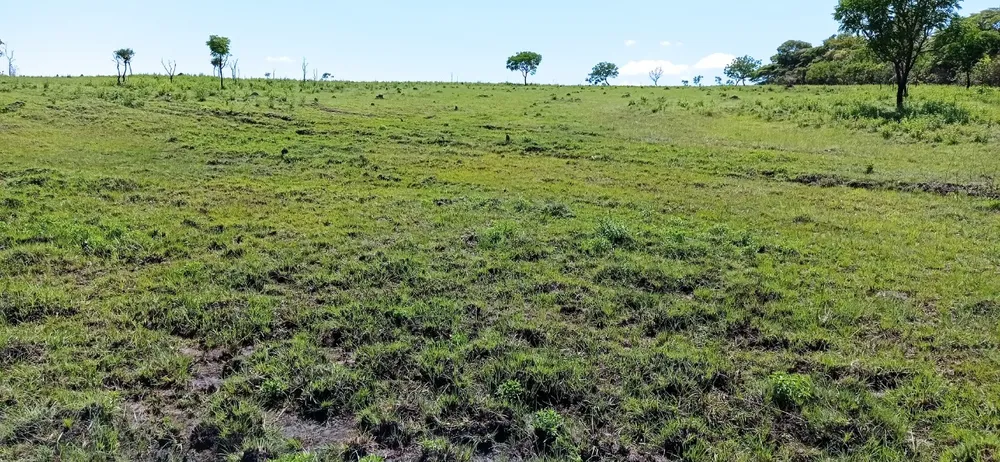 Fazenda, 1 quarto - Foto 9