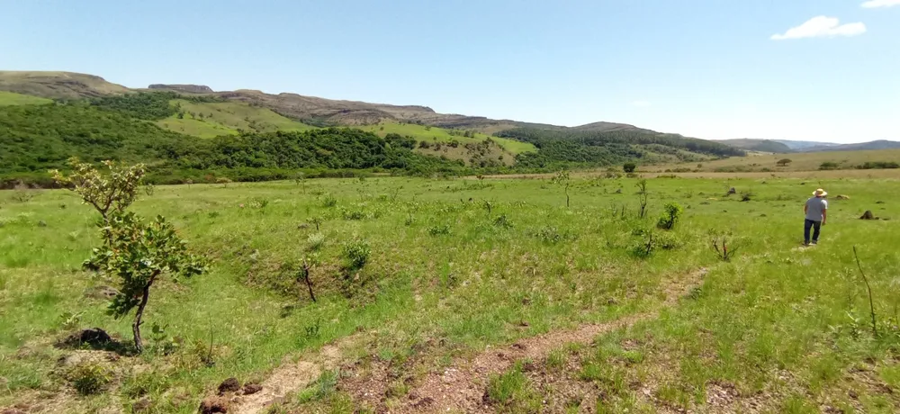 Fazenda, 1 quarto - Foto 16