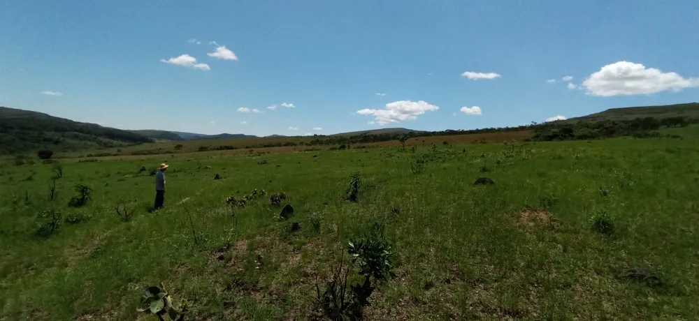Fazenda, 1 quarto - Foto 6
