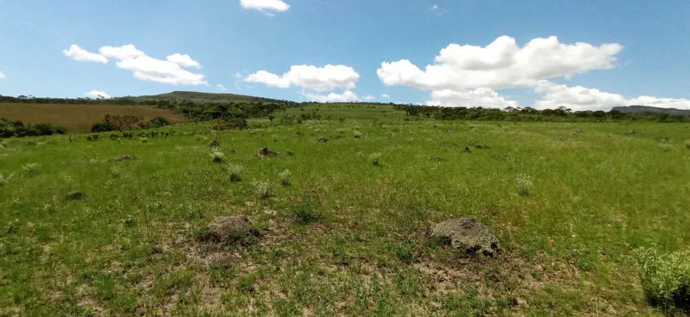 Fazenda, 1 quarto - Foto 17