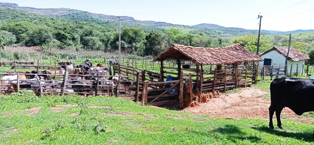 Fazenda, 1 quarto - Foto 2
