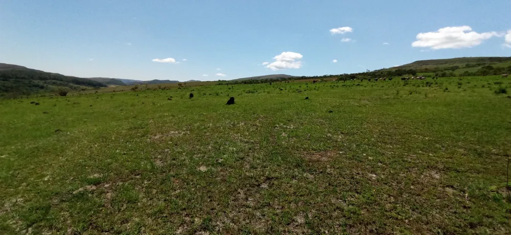 Fazenda, 1 quarto - Foto 5