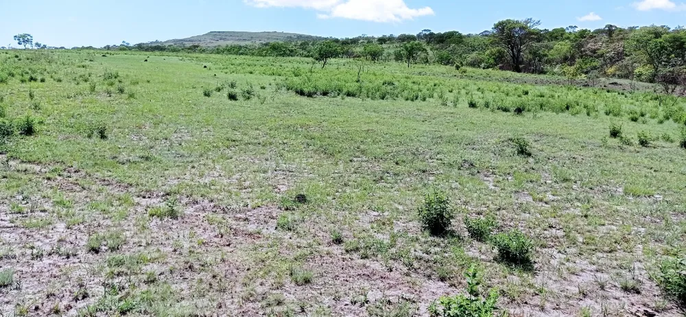 Fazenda, 1 quarto - Foto 12