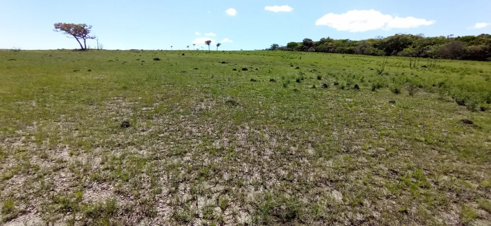 Fazenda, 1 quarto - Foto 11