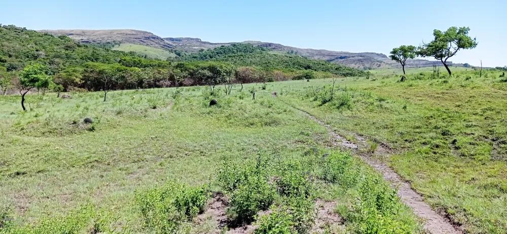 Fazenda, 1 quarto - Foto 10