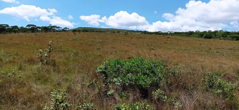 Fazenda, 1 quarto - Foto 19
