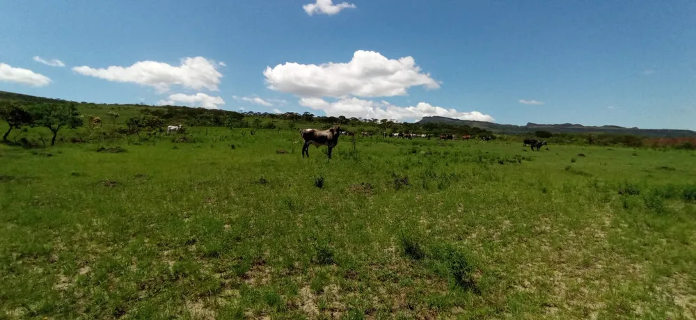 Fazenda, 1 quarto - Foto 13