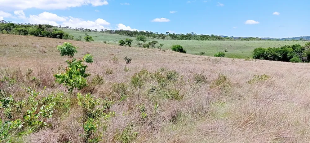 Fazenda, 1 quarto - Foto 20