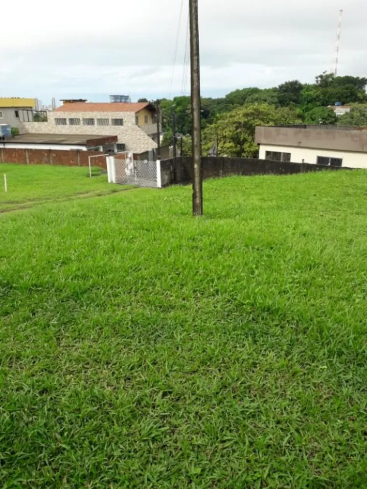 Casa, 8 quartos, 10612 m² - Foto 4