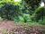 Terreno, 500 m² - Foto 3