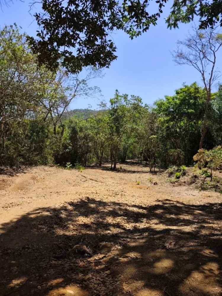 Terreno, 1000 m² - Foto 4