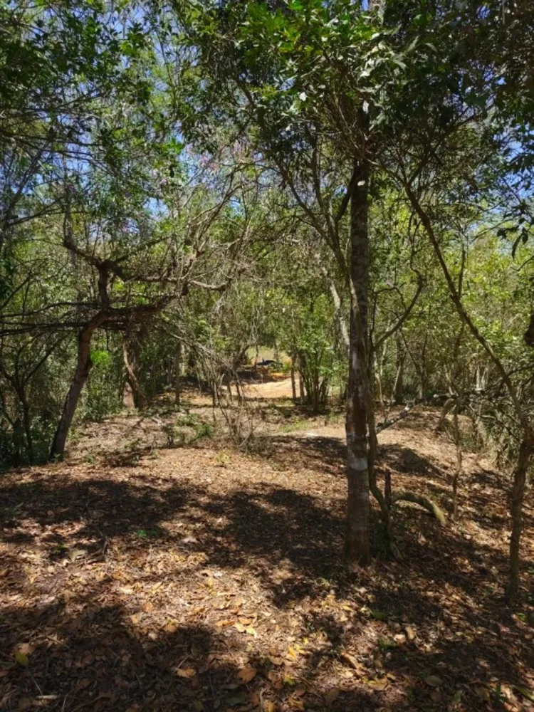 Terreno, 1000 m² - Foto 7