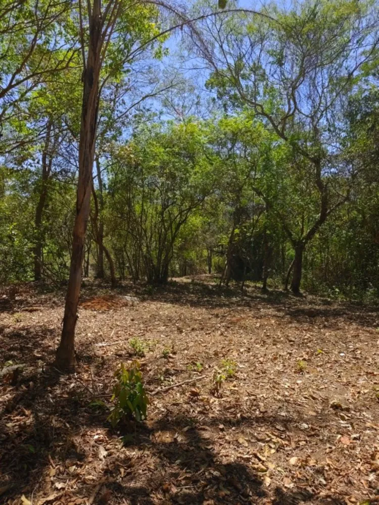 Terreno, 1000 m² - Foto 5