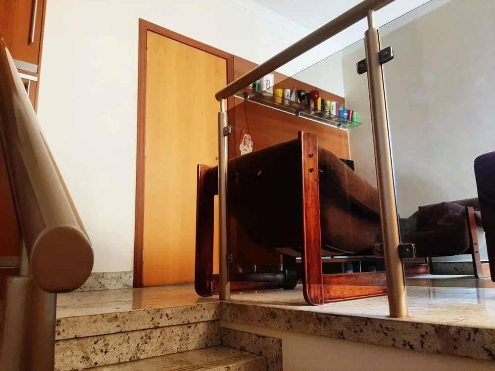 Cobertura, 3 quartos, 233 m² - Foto 3