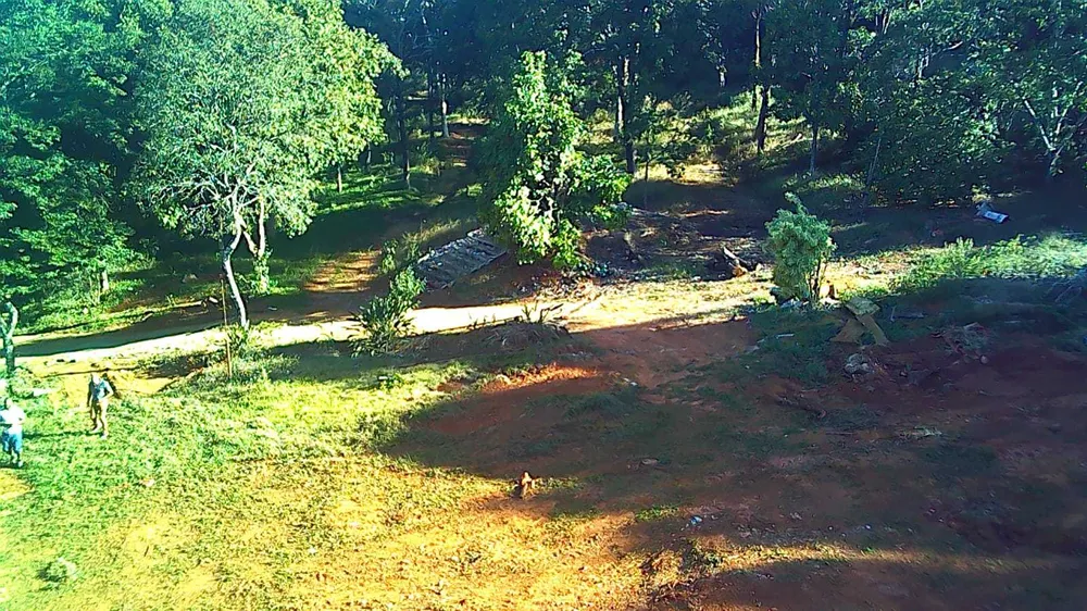 Terreno, 1630 m² - Foto 12