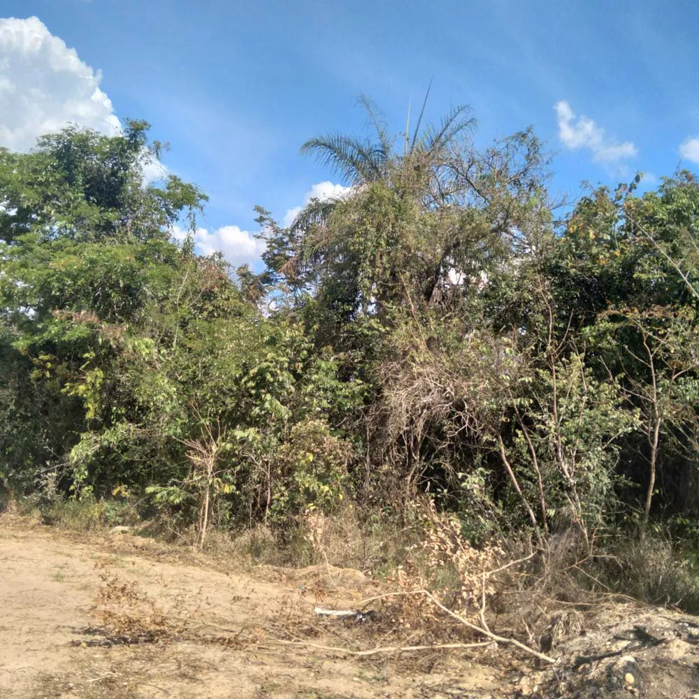 Terreno, 1590 m² - Foto 1