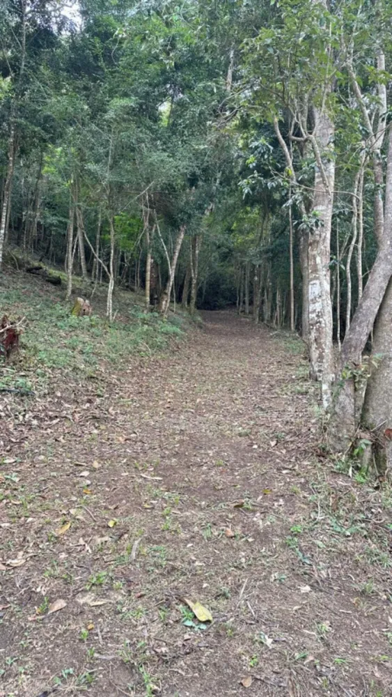 Sítio, 6 quartos, 5 hectares - Foto 16
