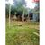 Casa, 1 quarto, 125 m² - Foto 4