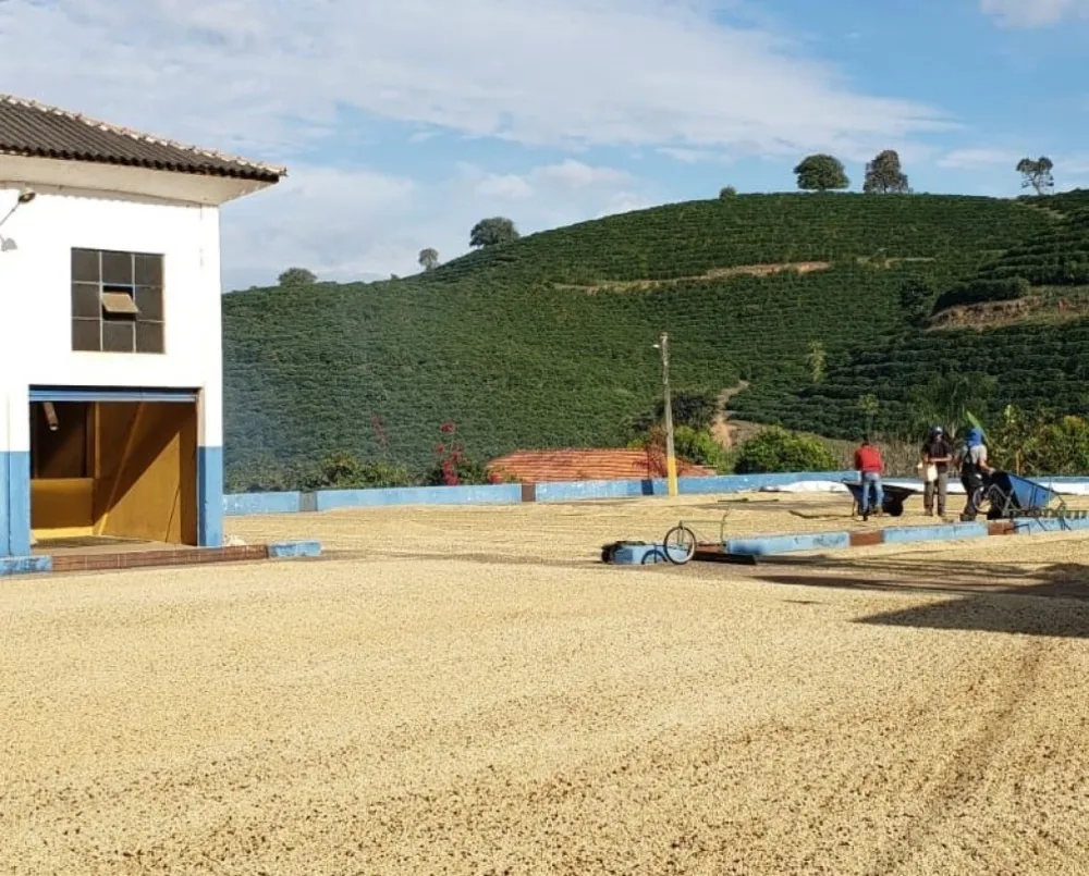 Fazenda, 127 hectares - Foto 2