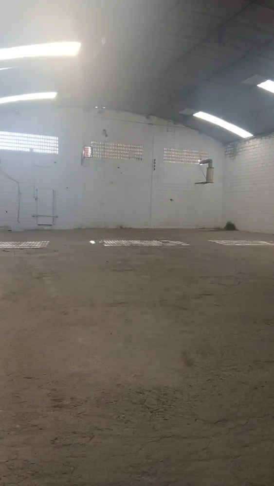 Depósito-Galpão, 390 m² - Foto 8
