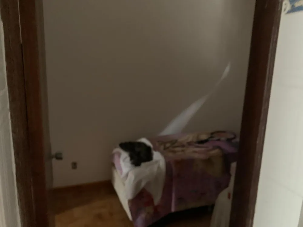 Casa, 4 quartos, 450 m² - Foto 5