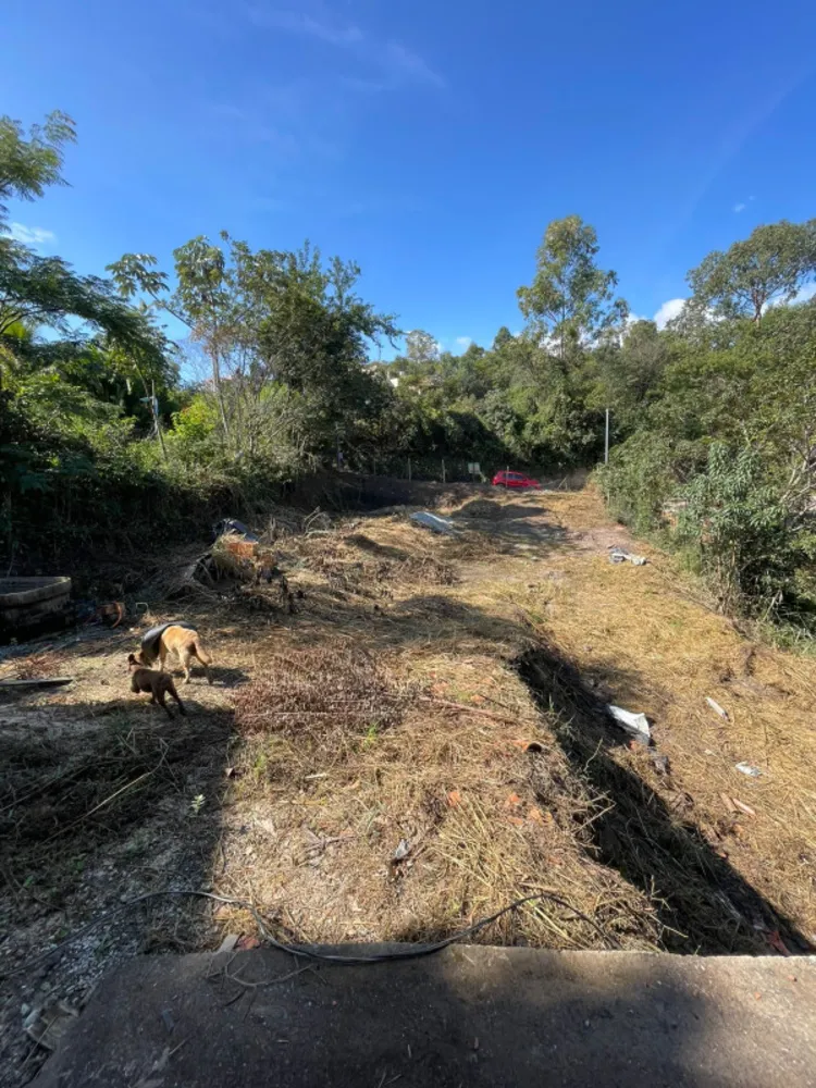 Chácara, 1 quarto, 1000 m² - Foto 3