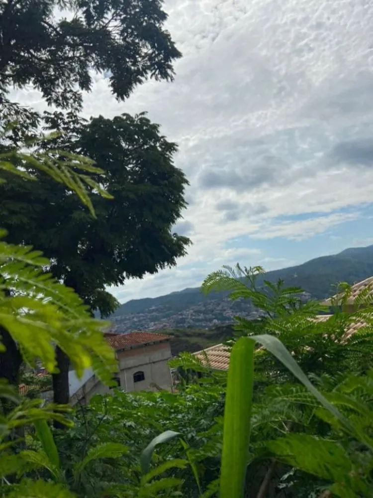 Terreno, 327 m² - Foto 3