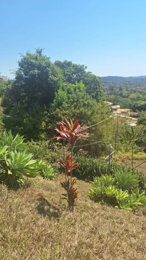 Chácara, 5 quartos, 2800 m² - Foto 4