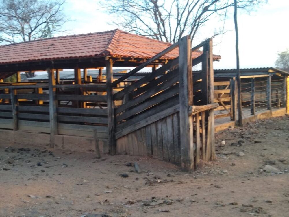 Fazenda à venda com 4 quartos, 800000m² - Foto 3