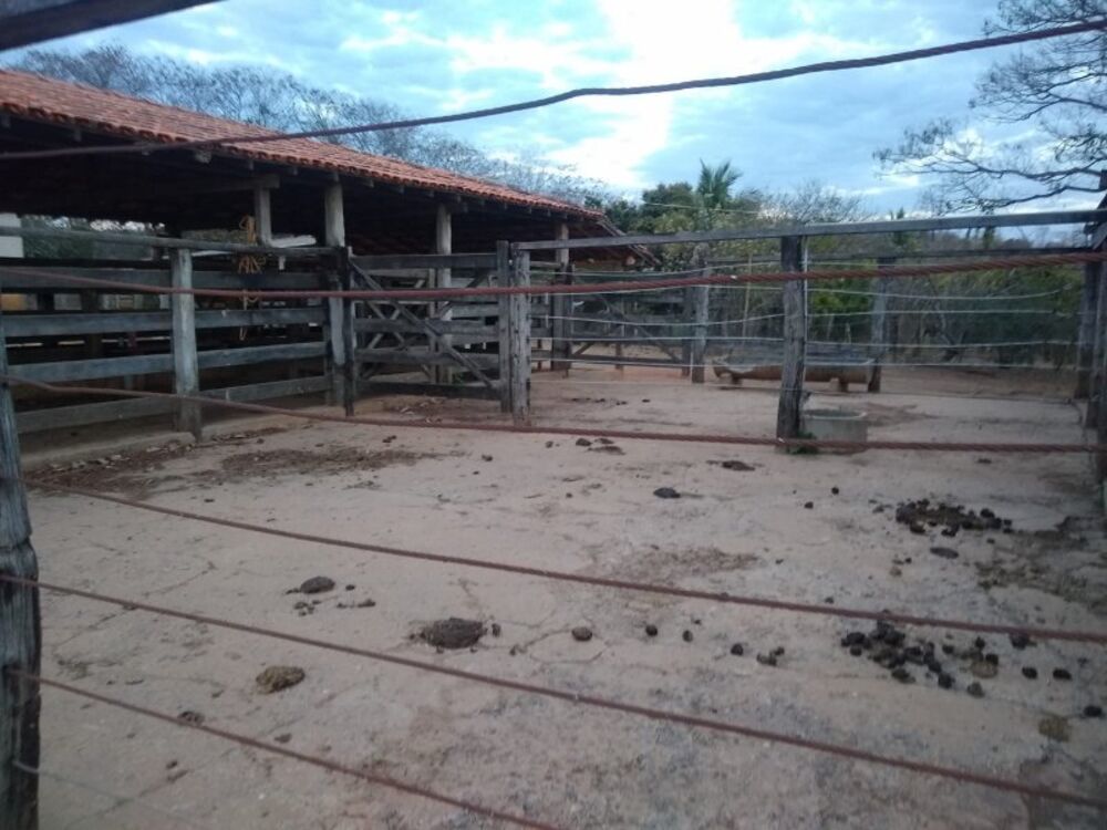 Fazenda à venda com 4 quartos, 800000m² - Foto 4
