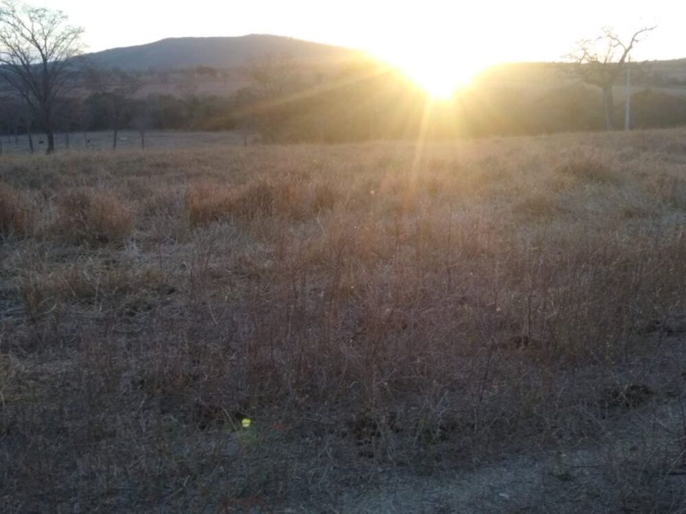 Fazenda à venda com 4 quartos, 800000m² - Foto 2