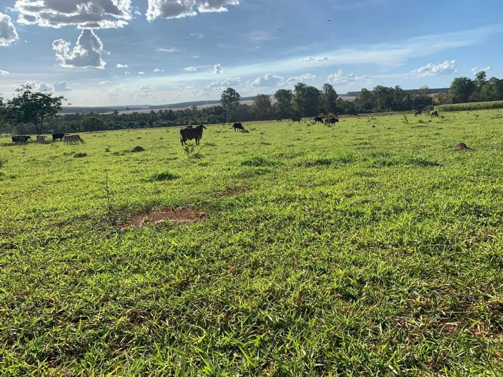 Fazenda, 1 quarto - Foto 7