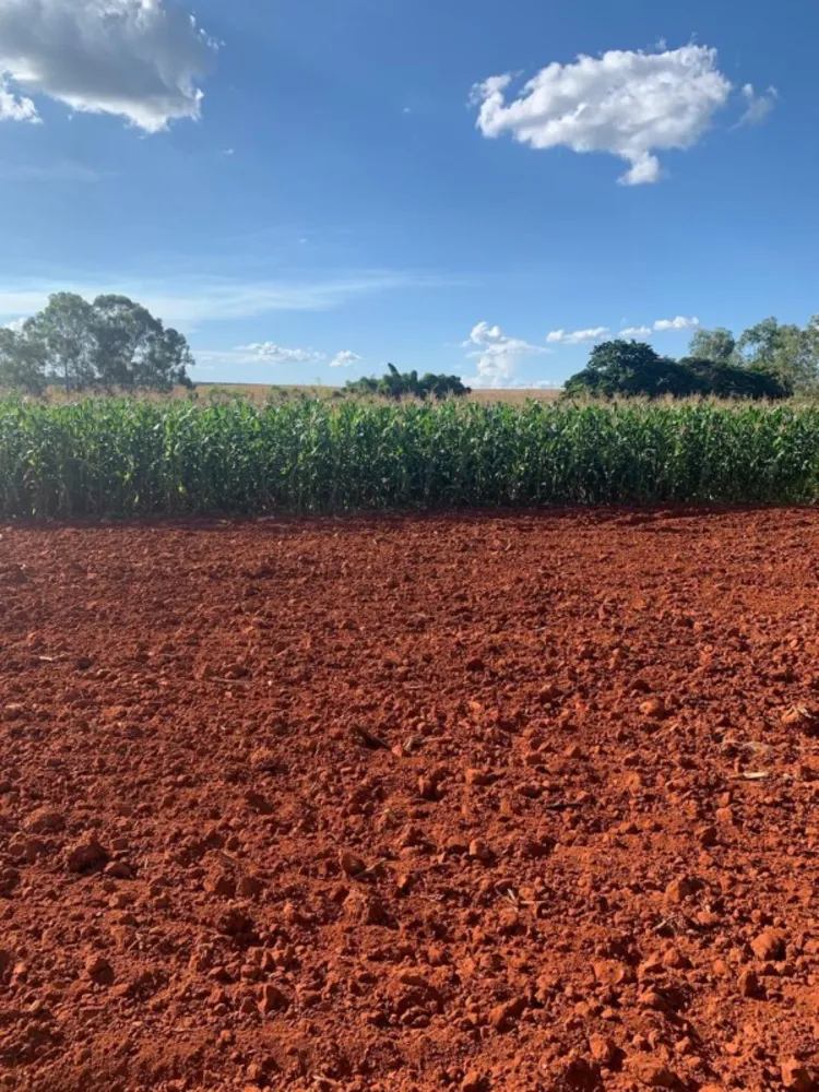 Fazenda, 1 quarto - Foto 3