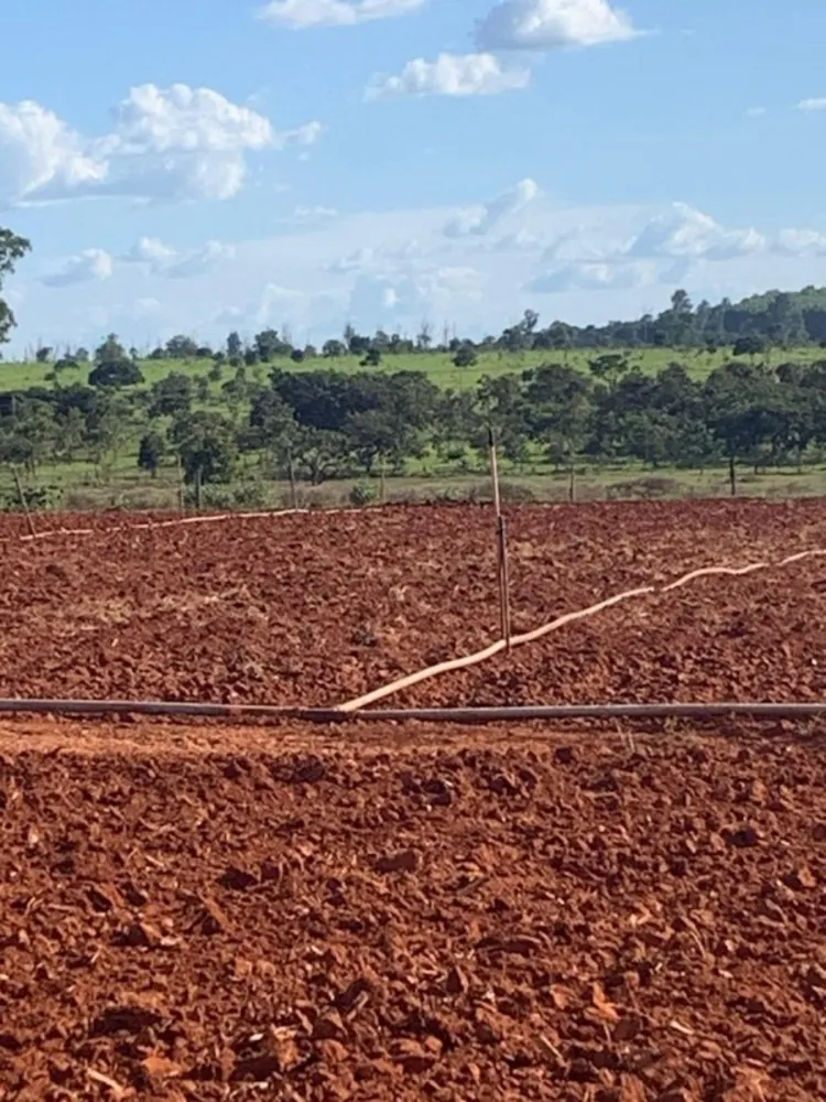 Fazenda, 1 quarto - Foto 6
