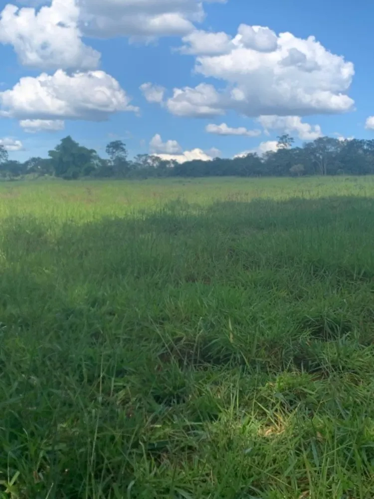 Fazenda, 1 quarto - Foto 9
