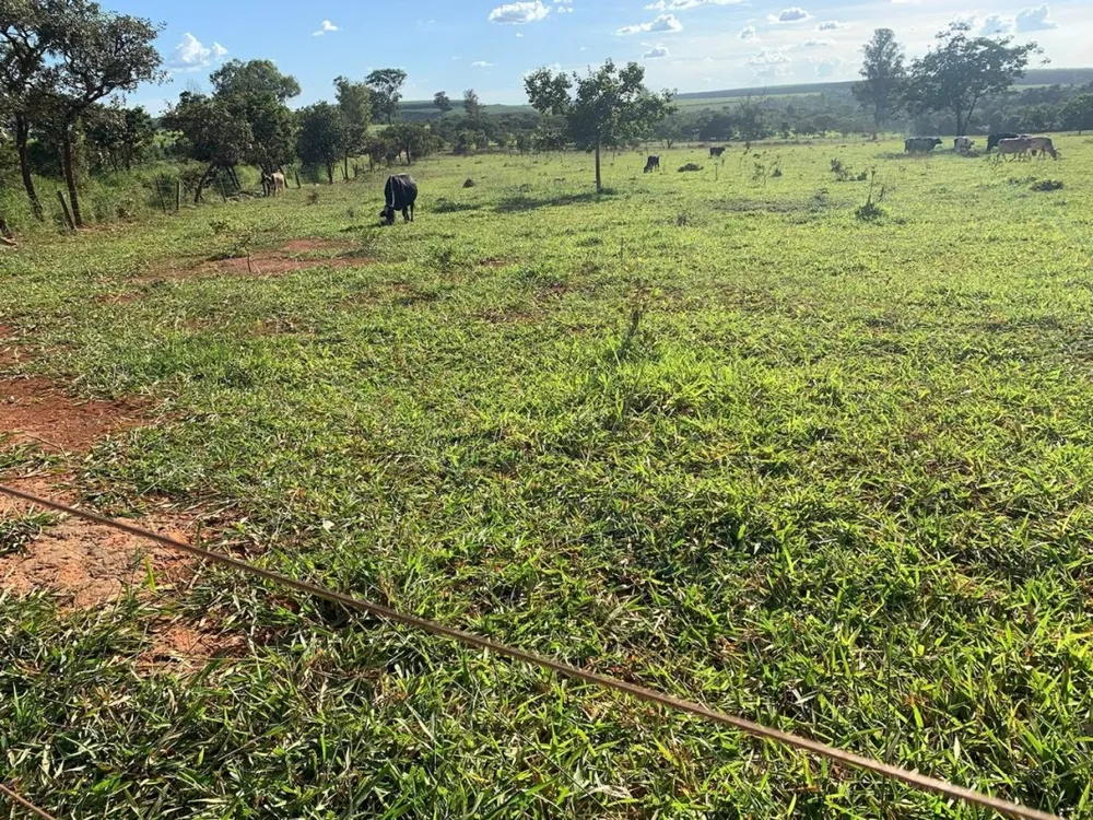 Fazenda, 1 quarto - Foto 4