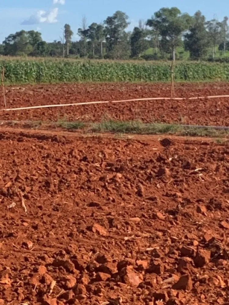 Fazenda, 1 quarto - Foto 1