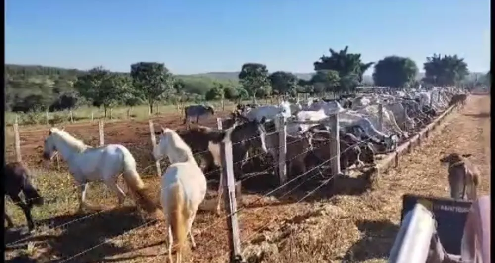 Fazenda, 1 quarto - Foto 3